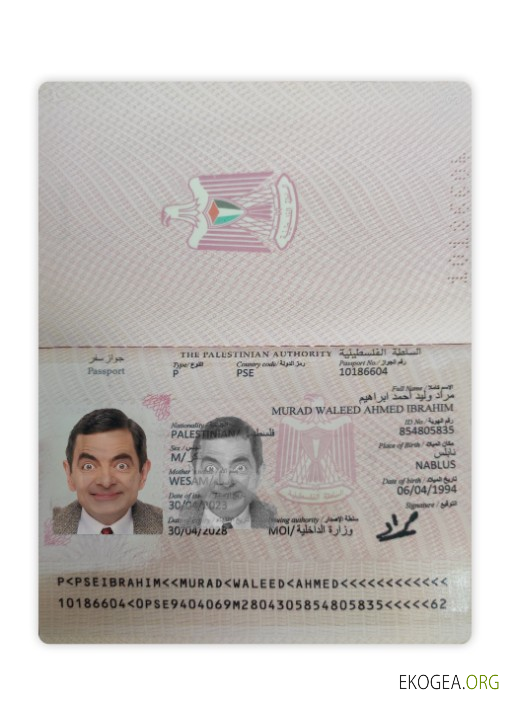 Passeport palestinien 2023 présent